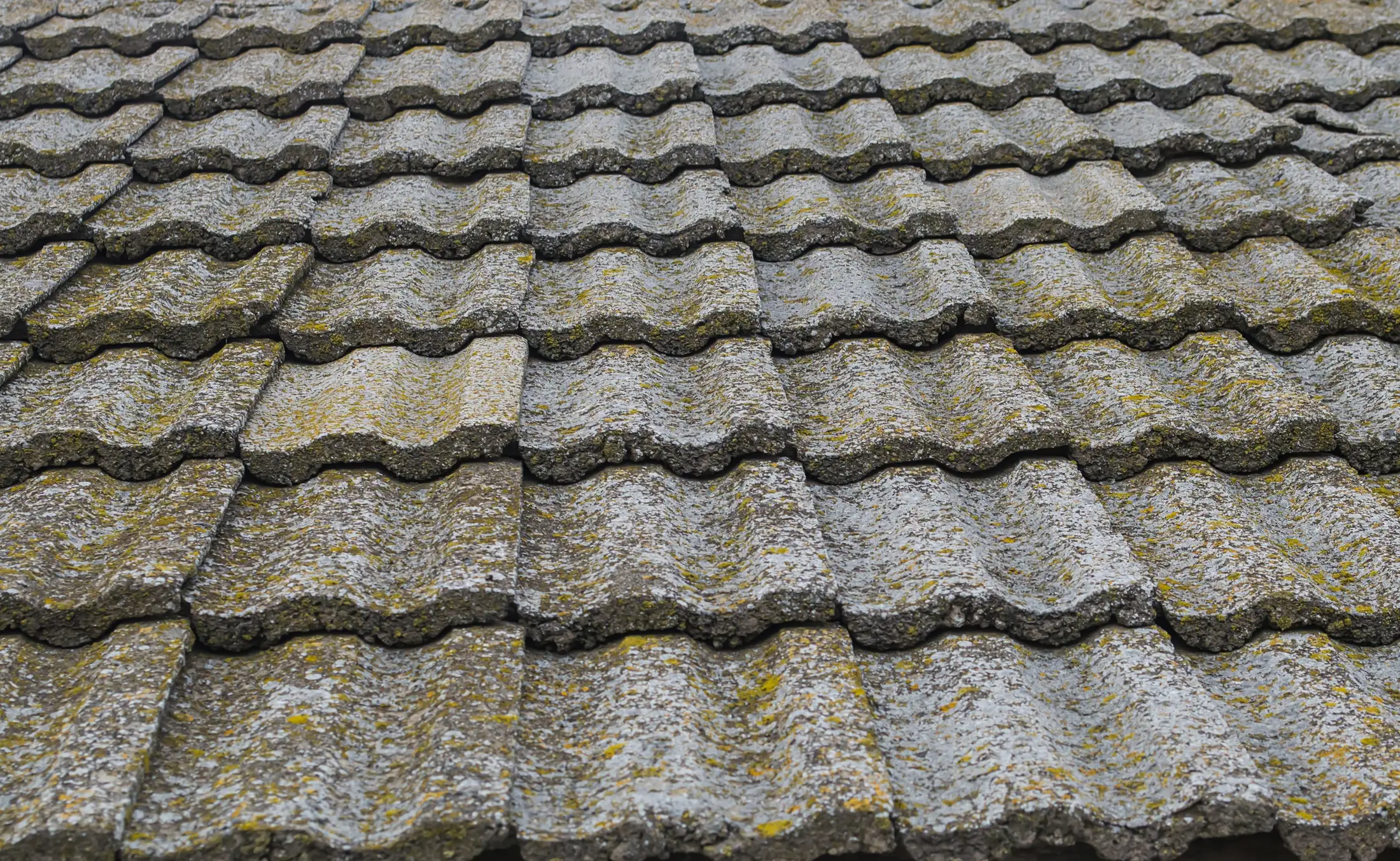Weathered, mossy concrete roof tiles (before)
