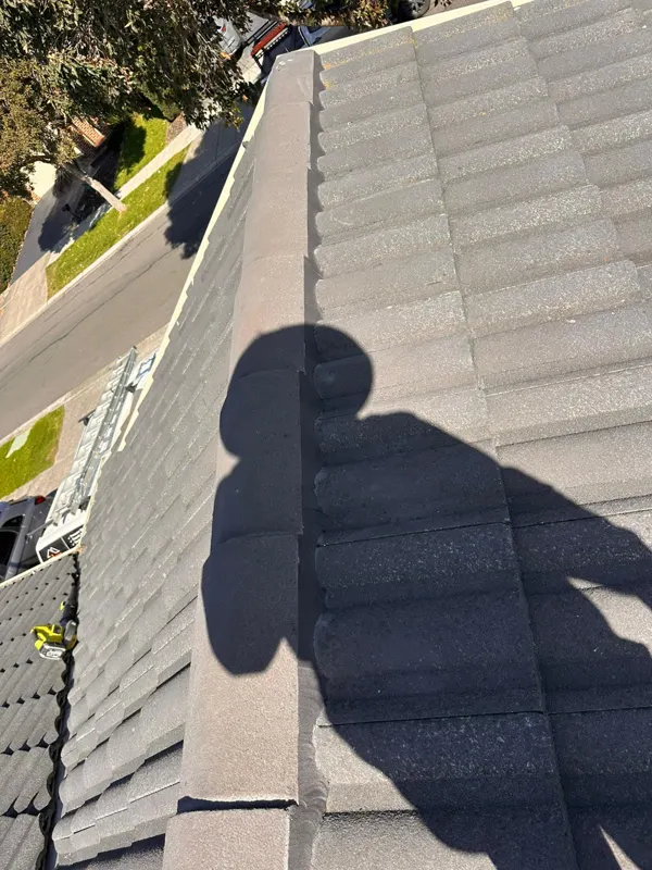 Ridge capping freshly re-pointed by Harpreet